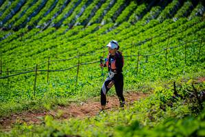 BIB: 
                            <button type="button" onclick="openModal(19163037)" class="btn btn-primary btn-sm float-right btn-popup" data-toggle="modal" data-target=".modal-high-quality">
                        <i class="fas fa-shopping-cart"></i> Add to Cart
                    </button>
                                            <button type="button" onclick="isThisMe(19163037, true)" class="btn btn-success btn-sm float-right btn-popup btn-isme hidden" data-toggle="tooltip" data-placement="bottom" title="นี่คือรูปของคุณใช่ไหม คลิกที่นี่เพื่อเอาเข้าอัลบั้ม">
                        <i class="fas fa-plus"></i> Add to album
                    </button>
                    <button type="button" onclick="isThisMe(19163037, false)" class="btn btn-warning btn-sm float-right btn-popup btn-isnotme hidden">
                        <i class="fas fa-ban"></i> Remove from album
                    </button>